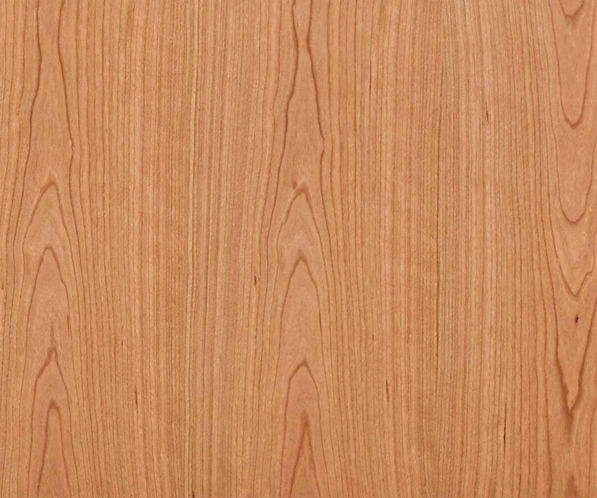 Stand média Baptisia 79