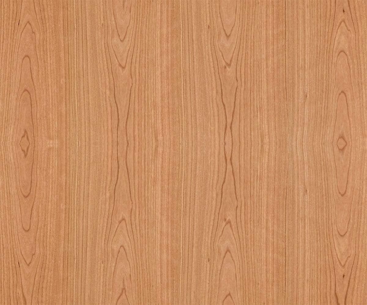 Table basse Baptisia