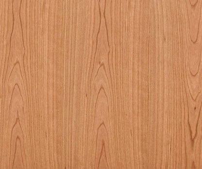 Stand média Baptisia 79