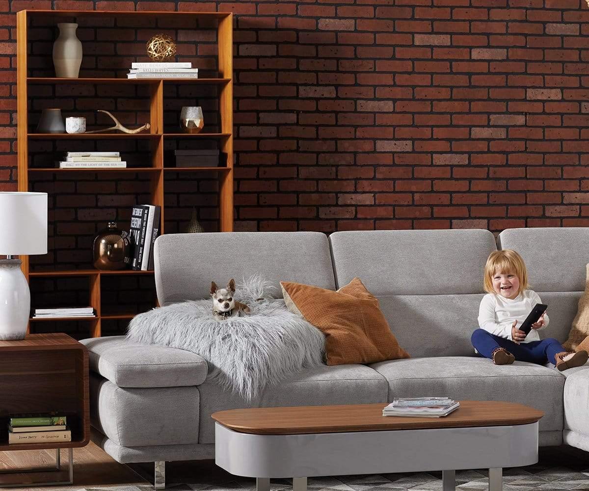 Bibliothèque étroite Haldi